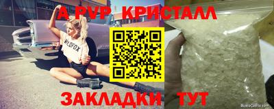 твердый Лесосибирск