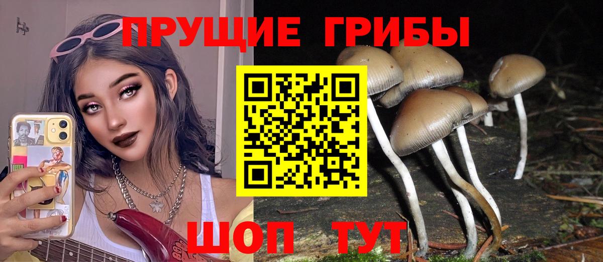 Псилоцибиновые грибы мицелий  Псилоцибиновые грибы Psilocybine cubensis  Качканар  Вход с VPN 